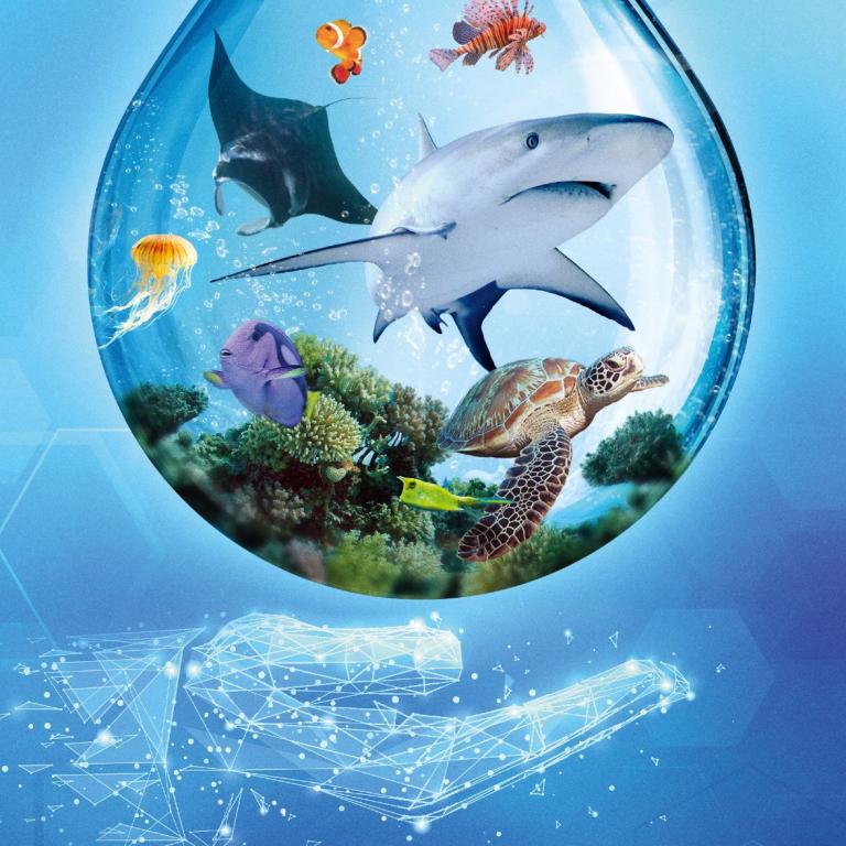 Ark Nova Marine Worlds Review Reef MadnessThe Dice Tower